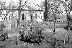 Chlapci zbierajú konáre s čerstvo orezaných stromov