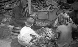 ženu s deťmi pri preberaní zemiakov