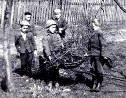 Chlapci zbierajú konáre s čerstvo orezaných stromov - detail