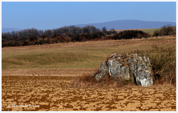 Čertova skala - osamotený skalný útvar v poli