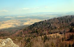 Výhľad z Rozsypanej skaly