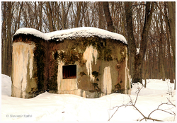 Vojenský bunker v lese pri Kuzmiciach