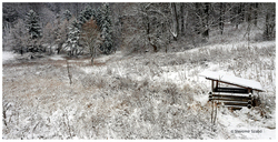 Krasové jazierko v zime